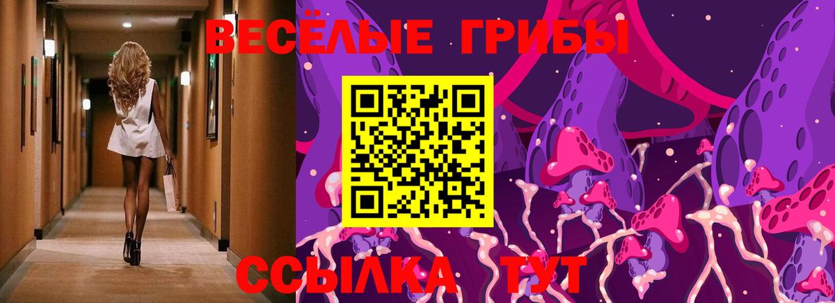 Псилоцибиновые грибы мухоморы Серпухов